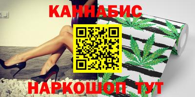 индика Гай
