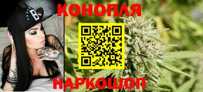 индика Гай