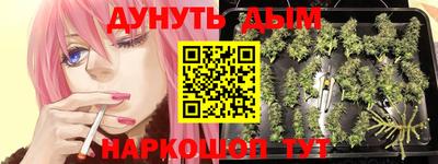 амфетамин Гатчина