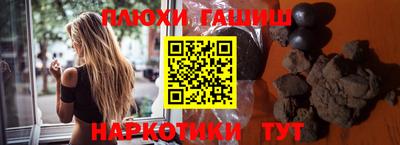 индика Гай