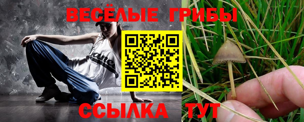 Галлюциногенные грибы прущие грибы Людиново