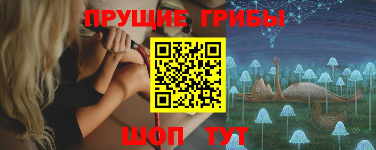 Людиново  Псилоцибиновые грибы MAGIC MUSHROOMS  Вход с VPN  наркотики  Галлюциногенные грибы мухоморы 